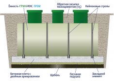 Гринлос Пром 30 пр